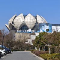 評論圖片 1