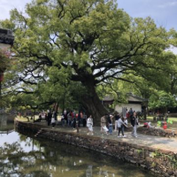 評論圖片 1