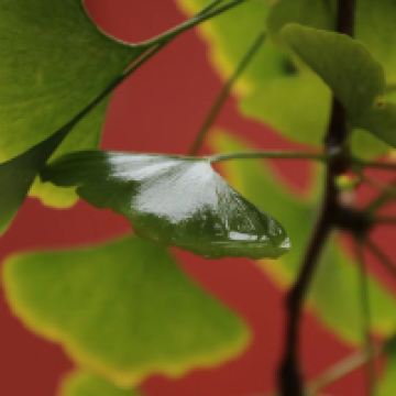 評論圖片 7