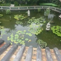 評論圖片 4