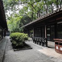評論圖片 7