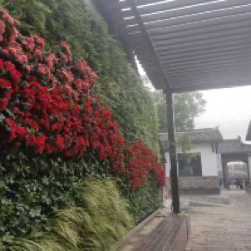 評論圖片 1