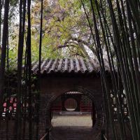 評論圖片 7