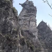 評論圖片 5