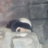 評論圖片 3