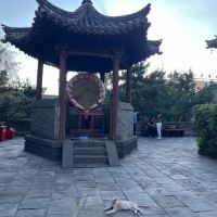 評論圖片 9