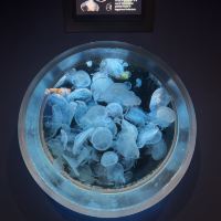 評論圖片 4