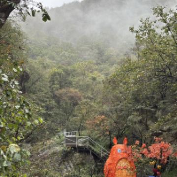 評論圖片 3