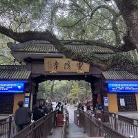 評論圖片 4