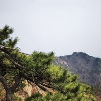 評論圖片 3