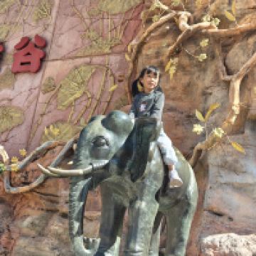 評論圖片 3