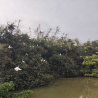 評論圖片 2