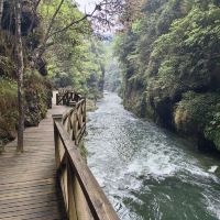 評論圖片 1