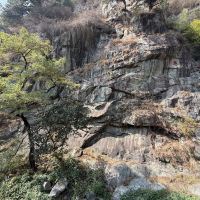 評論圖片 3