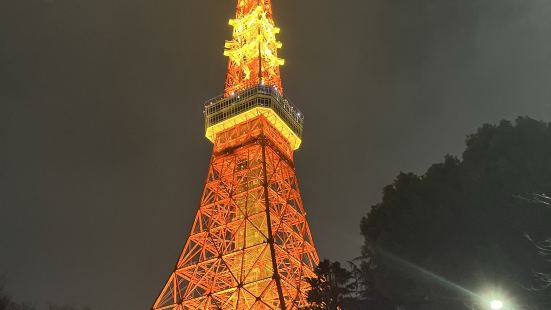 Tokyo tower was okay. Not much