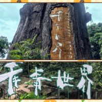 評論圖片 1