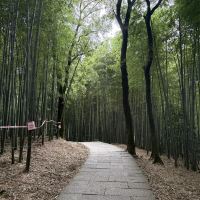 評論圖片 6