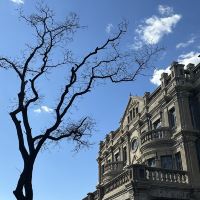 評論圖片 1