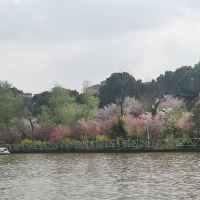 評論圖片 5