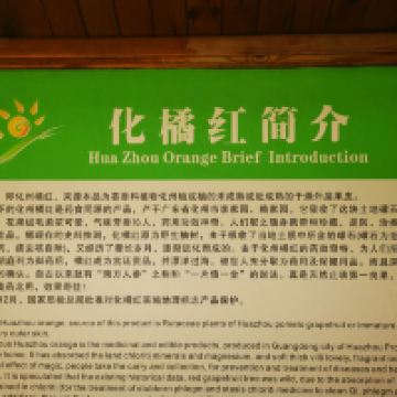 評論圖片 4