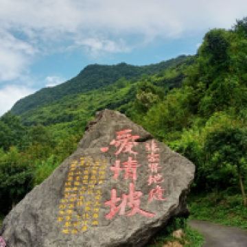 評論圖片 7