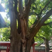 評論圖片 3
