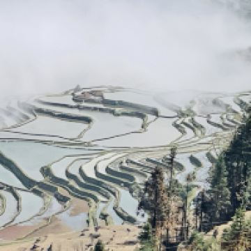 評論圖片 4