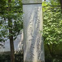 評論圖片 5