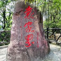 評論圖片 3