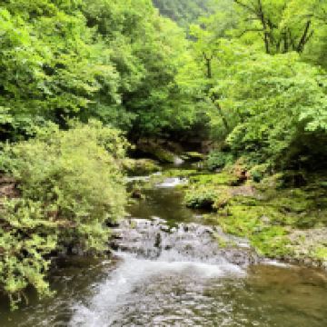 評論圖片 4