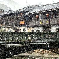 評論圖片 7