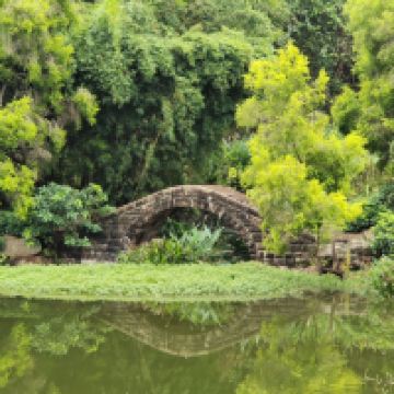 評論圖片 5