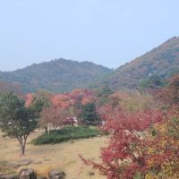 評論圖片 4
