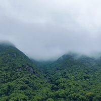 評論圖片 1