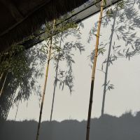 評論圖片 6