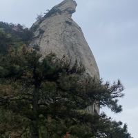 評論圖片 8