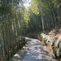評論圖片 5