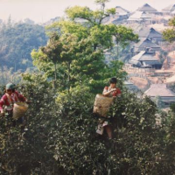 評論圖片 3
