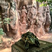 評論圖片 4