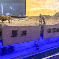 評論圖片 5