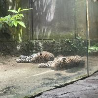 評論圖片 4