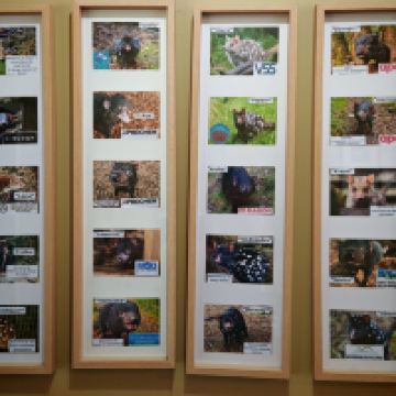 評論圖片 8