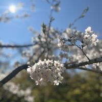 評論圖片 5