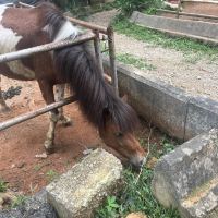 評論圖片 4