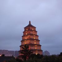 評論圖片 1
