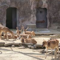 評論圖片 3