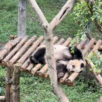 評論圖片 1