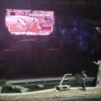 評論圖片 3
