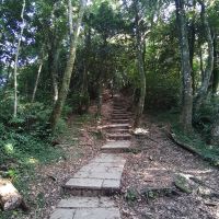 評論圖片 1