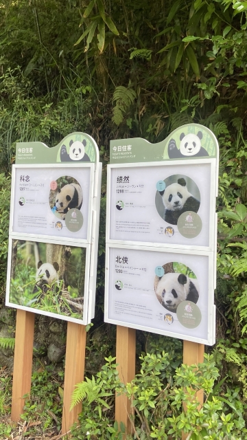 Panda Valley Tickets [2026] - Promos, Prices, Reviews & Opening